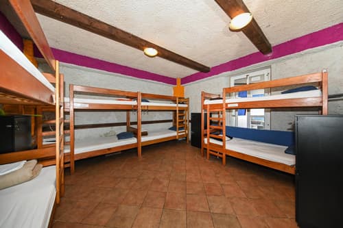 The Lazy Monkey Hostel & Apartments