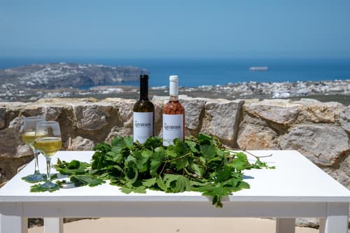 Zatrikion Santorini Villas