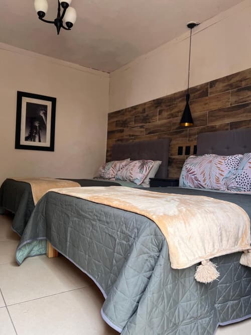 The Black Tree Hotel Boutique