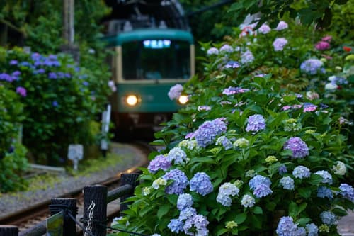 KAMAKURA Hotel