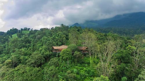 Vythiri Mist Resort