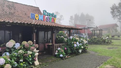 Rante Ijen Cafe & Homestay, 