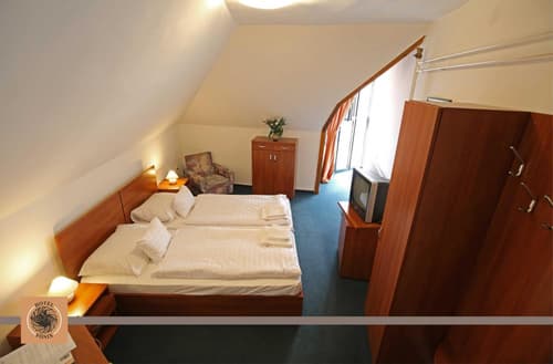Hotel Főnix