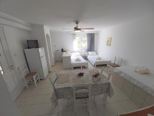 Dandelion Paros Apartments I-II