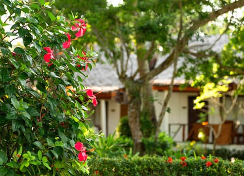 Lipa Lodge Beach Resort
