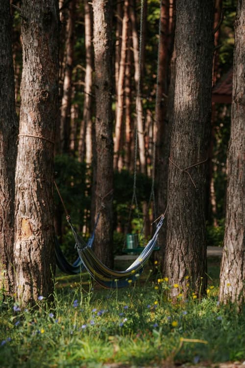 Zuzumbo Resort & Spa, 