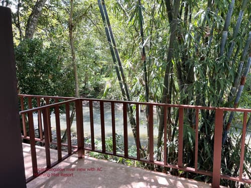 Khao Sok Morning Mist Resort