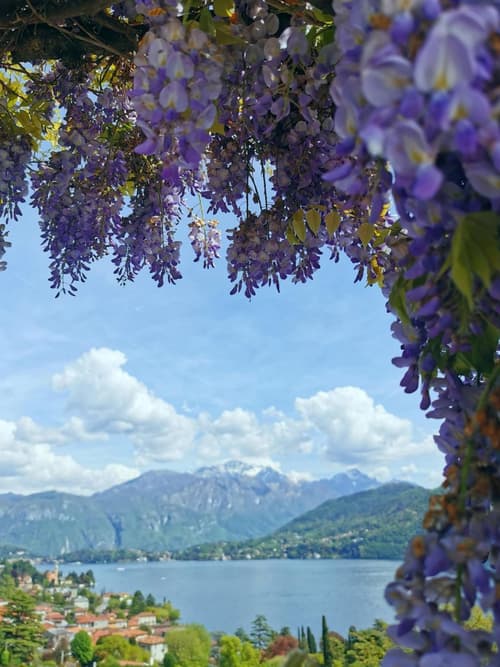 Residence Celeste Lake View Apartments, 