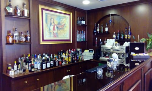 Hotel Apollonia Delphi, 