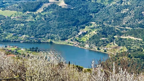 Quinta de CasalMato, 