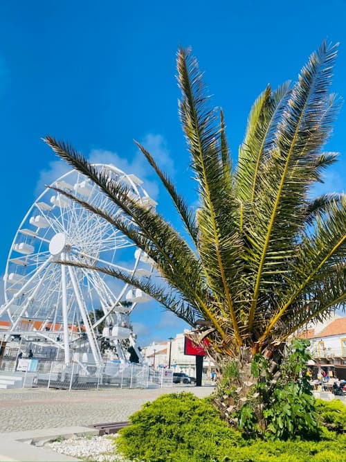 Spray B&B Sitio in Nazare, European style
