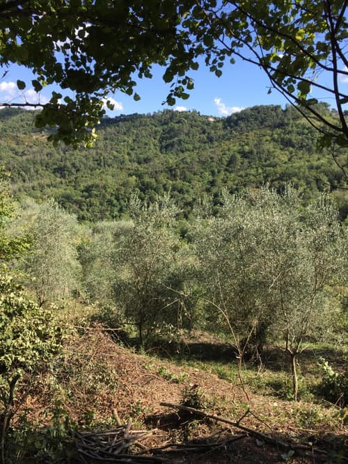 Rural House Rondini