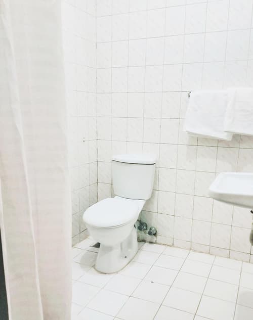 Grand Memphis Hotel in Luxor, 