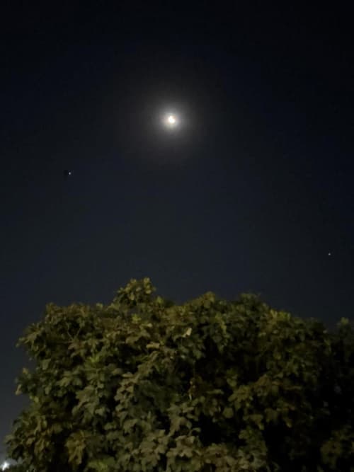 Grand Memphis & Roof Top Restaurant