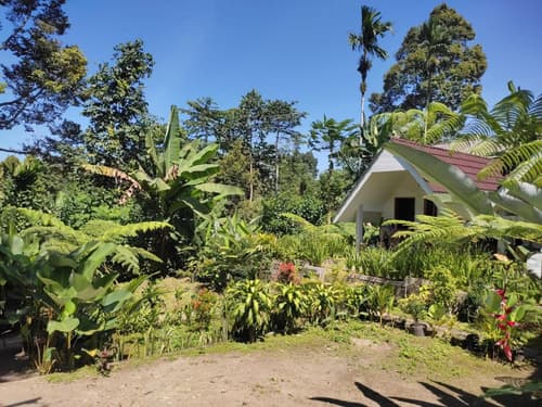 Stokel Cottage