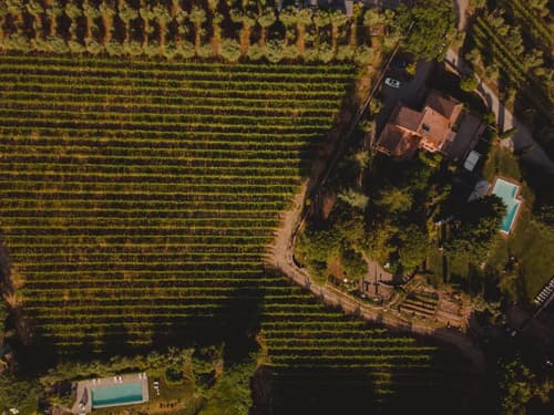 Fattoria Di Corsignano