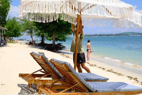 Jungle Gili Air