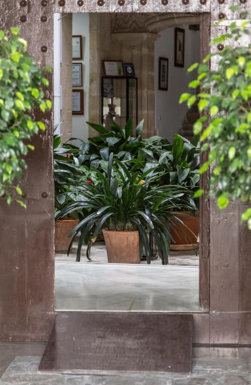 Casa Palacio de los Leones, 