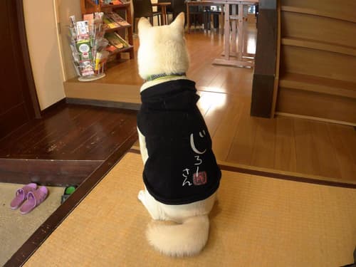 Guest House Ga-Jyun, 