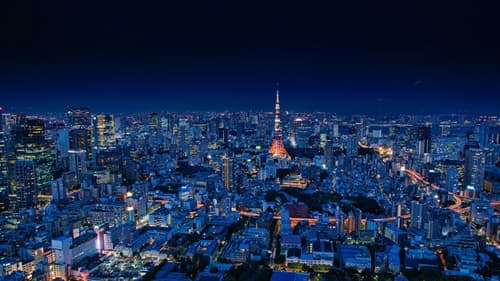 Soggiorno a Tokyo 3*