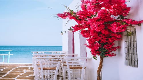 Athens & Paros 8D/7N (3* Hotels)