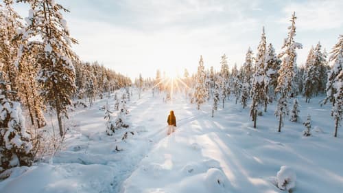 Séjour Multi-activités à Rovaniemi