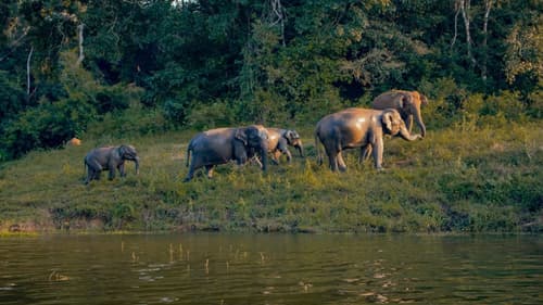 Escapade au Sri Lanka – 13 jours / 10 nuits : Privatif