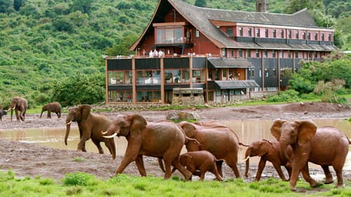 Wonders of Kenya 4x4 Jeep Safari