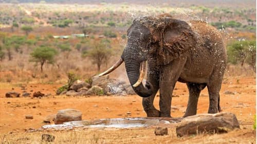 Papillon Lagoon Reef & 1 Night Tsavo East Safari