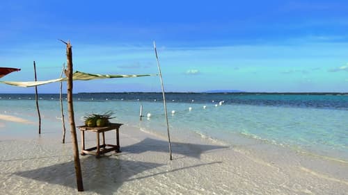 Filipinas Esencial Extra (Manila-Cebú-Bohol-Cebú)
