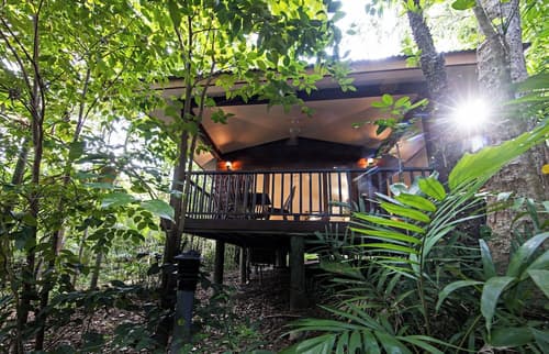 Thala Beach Nature Reserve, 