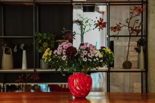 Grand Noel Bakuriani