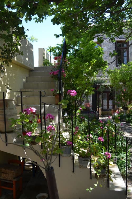 Viglatoras Traditionals Apartments, 