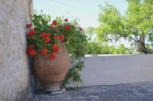 Viglatoras Traditionals Apartments, 