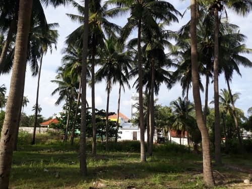 Damina Boutique Hotel - Hostel