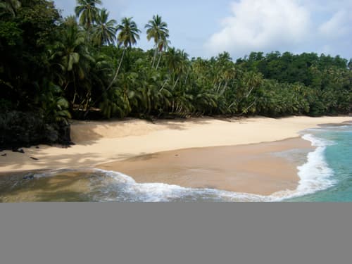 220364 - São Tomé | STP e TAAG