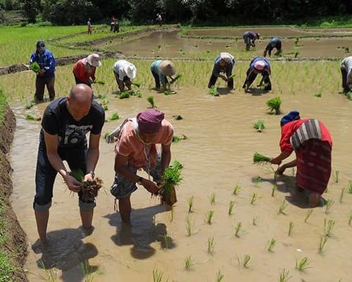 3 Days / 2 Nights Trek Mae Hong Son