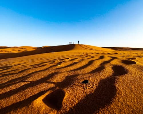 MTPE-32006 DESIERTO MARROQUI