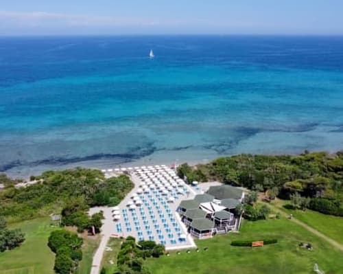 PUGLIA: BRAVO ALIMINI