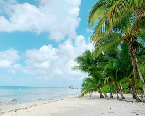 Meraviglie dello Yucatán: tra storia e natura