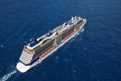 Celebrity Reflection
