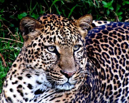 Kenia, Tanzania & Zanzíbar - 1 de noviembre