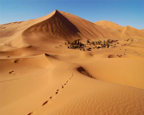 MOROCCAN DESERT