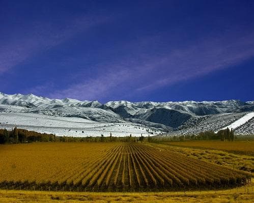 Mendoza Clasico 