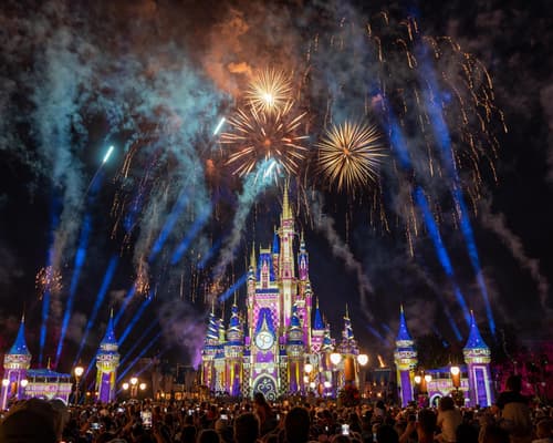 Disney Básico & Comidas con aéreo