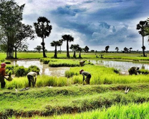 Asombrosa de Angkor 2026/2027