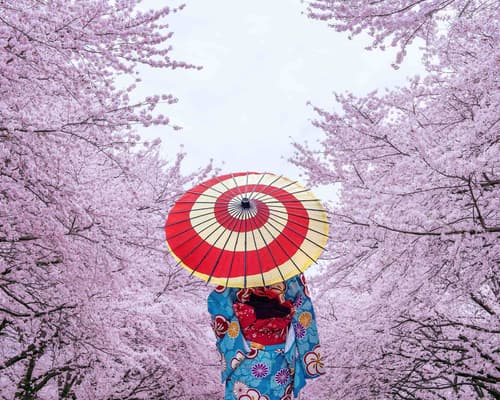 DESCUBRE JAPÓN DESDE LOS ÁNGELES 