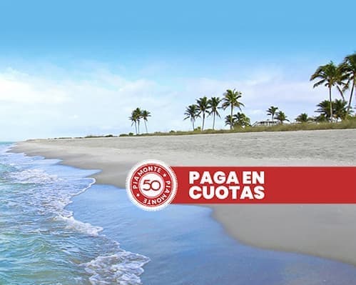  Florida sobre ruedas 18/01 - Verano 2027