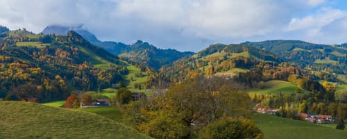 Self Drive: Descubriendo Alsacia y Selva Negra