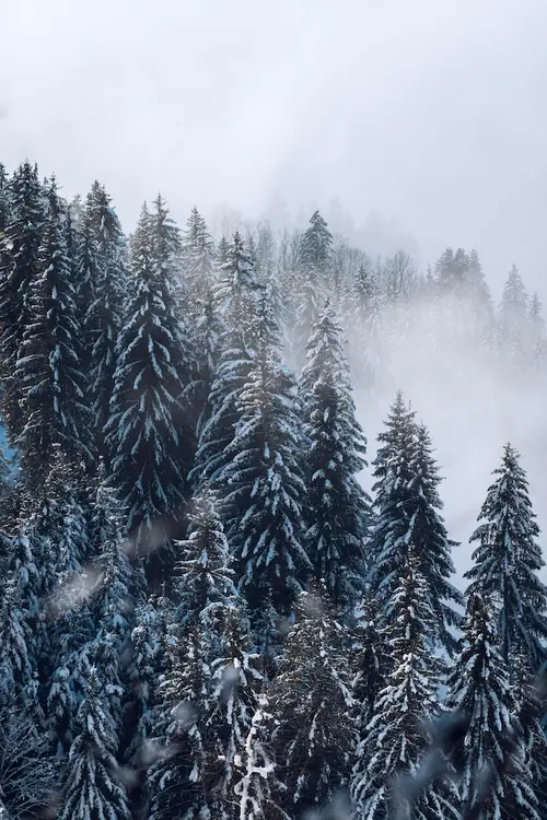 Hotel Jungfraublick Wengen